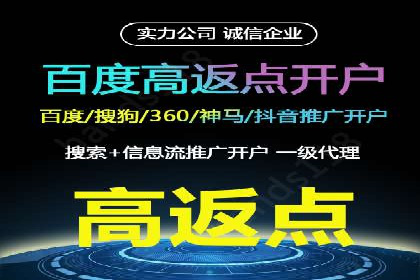 某电商平台的SEM推广策略及效果分析